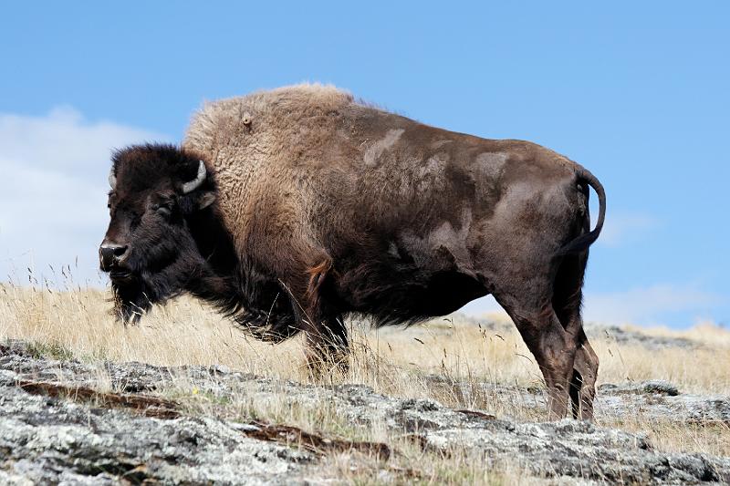 2007 03 25 Queenstown 121_DXO.jpg
